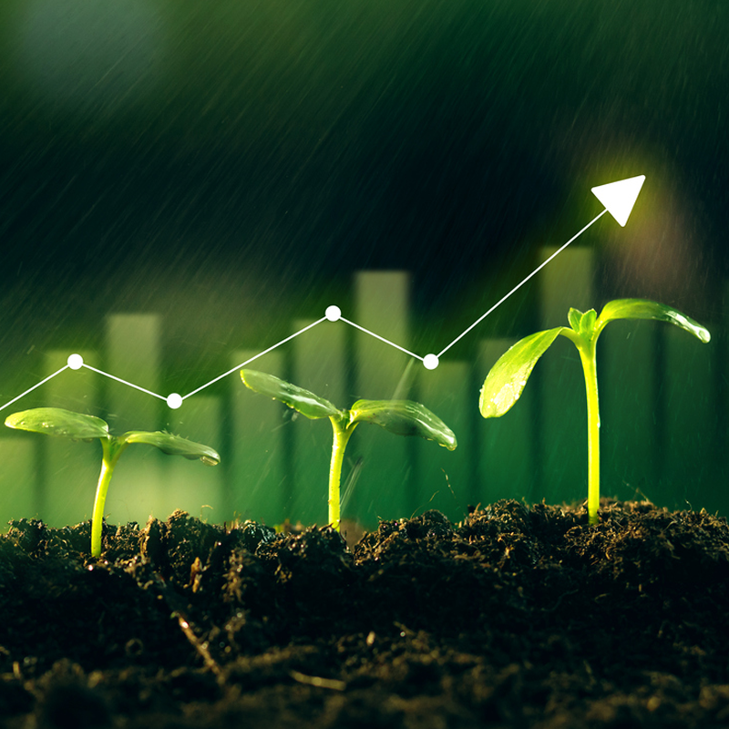 Why Seasonal Trends Are One of the Most Underutilized PR Opportunities for Consumer Brands